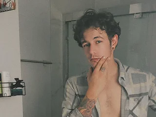 FIN_GAINS355 SinParty Model